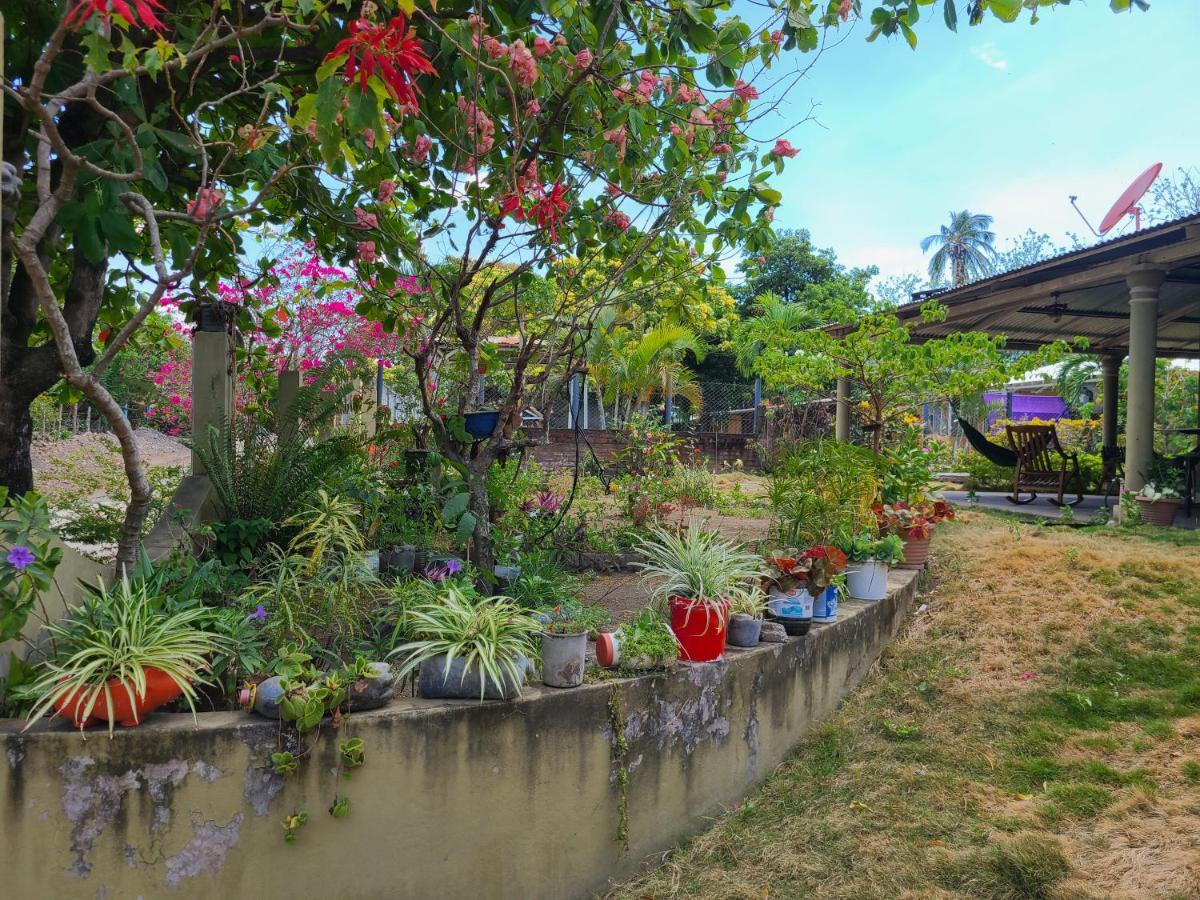 Sophie House Hostel Moyogalpa Exterior photo